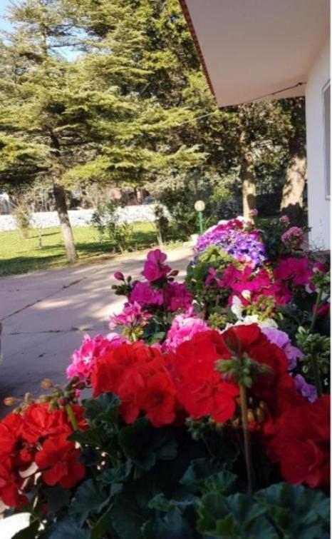 La Dimora Di Nonno Nuccio Hotel Рагуза Екстериор снимка